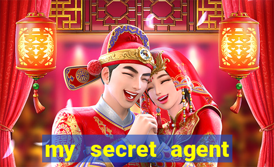my secret agent husband legendado